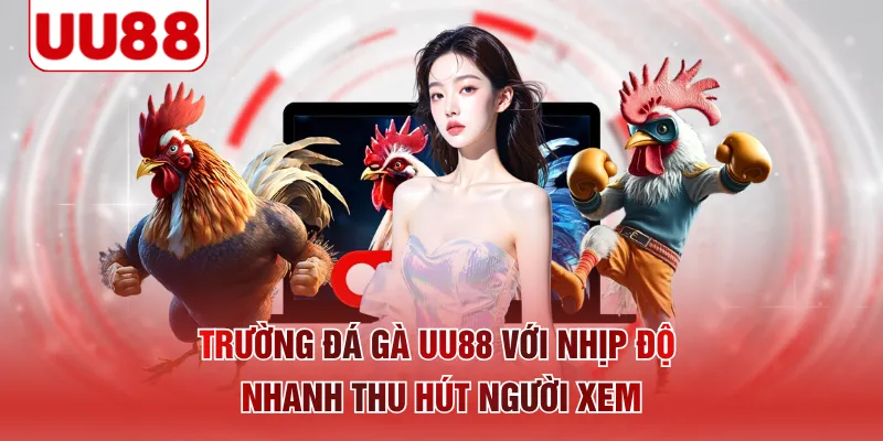 Trường đá gà UU88 với nhịp độ nhanh thu hút người xem