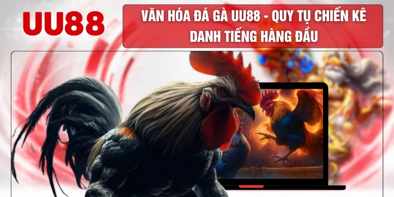 Văn Hóa Đá Gà UU88 - Quy Tụ Chiến Kê Danh Tiếng Hàng Đầu